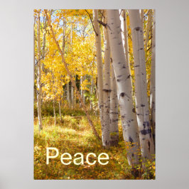 Peace Poster