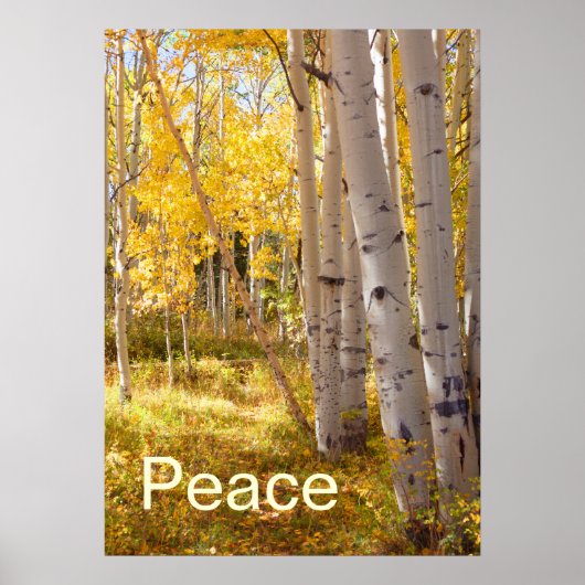 Peace Poster (Voorkant)
