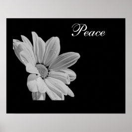 Peace Poster