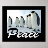 Peace Poster (Voorkant)