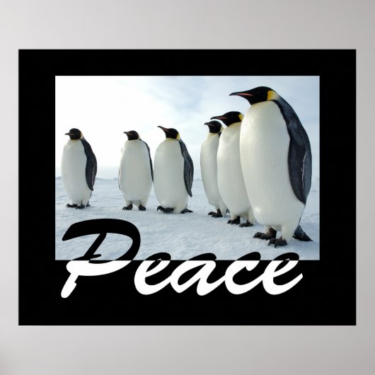 Peace Poster (Voorkant)