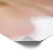 Peace Prayer Poster, St. Francis of Assisi Poster (Hoek)