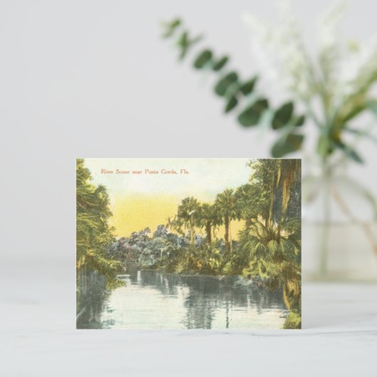 Peace River  scène, Punta Gorda Florida Briefkaart (Staand voorkant)