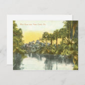 Peace River  scène, Punta Gorda Florida Briefkaart (Voorkant / Achterkant)