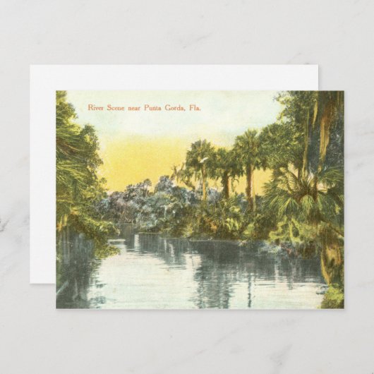 Peace River  scène, Punta Gorda Florida Briefkaart (Voorkant / Achterkant)