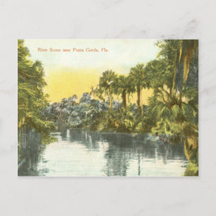 Peace River  scène, Punta Gorda Florida Briefkaart