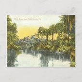 Peace River  scène, Punta Gorda Florida Briefkaart (Voorkant)