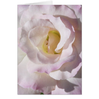 Peace Roos Card