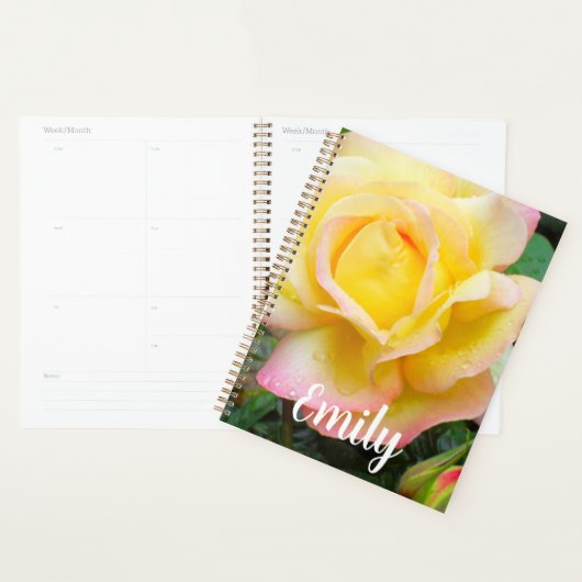 Peace Roos Foto Planner (Display)