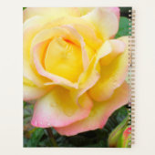 Peace Roos Foto Planner (Achterkant)