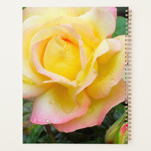 Peace Roos Foto Planner (Achterkant)