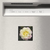 Peace Roos Magnet (Insitu (Vaatwasser))