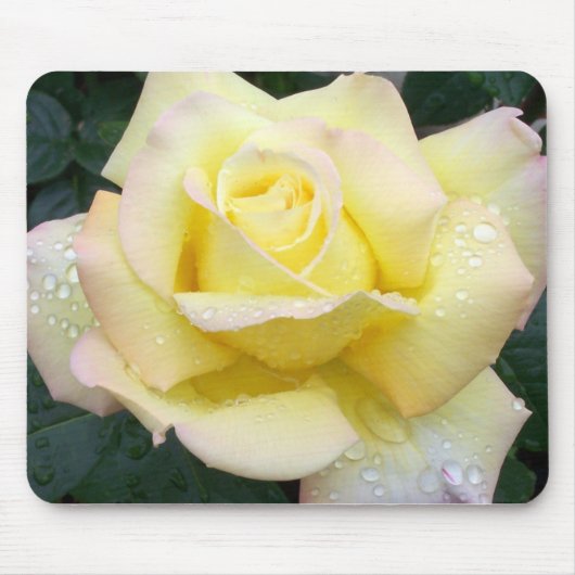 Peace Roos Mousepad Muismat (Voorkant)