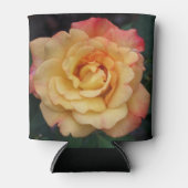 Peace-Roos: prachtige roze en gele bloemen Blikjeskoeler (Voorkant)