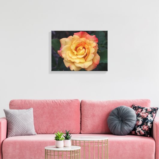 Peace-Roos: prachtige roze en gele bloemen Canvas Afdruk (Insitu (Woonkamer))