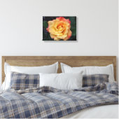 Peace-Roos: prachtige roze en gele bloemen Canvas Afdruk (Insitu (Slaapkamer))