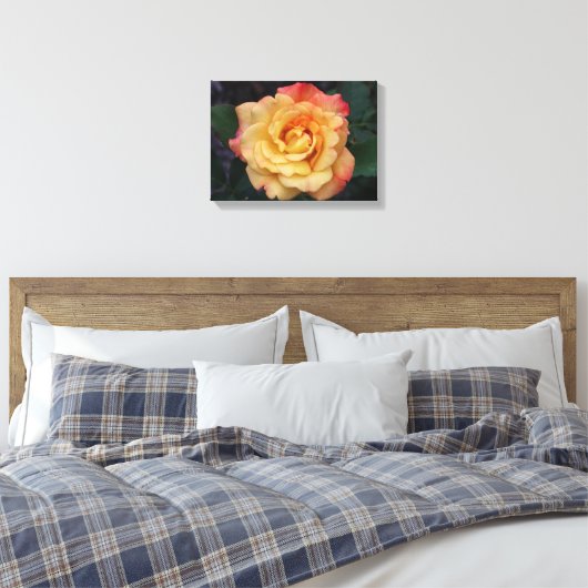 Peace-Roos: prachtige roze en gele bloemen Canvas Afdruk (Insitu (Slaapkamer))