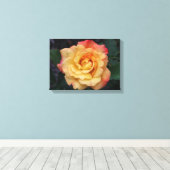 Peace-Roos: prachtige roze en gele bloemen Canvas Afdruk (Insitu (Houten vloer))