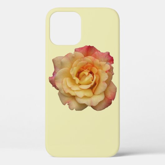 Peace-Roos: prachtige roze en gele bloemen Case-Mate iPhone Case (Achterkant)