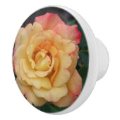 Peace-Roos: prachtige roze en gele bloemen Keramische Knop (Rechts)