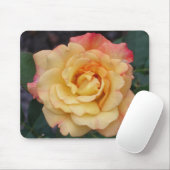 Peace-Roos: prachtige roze en gele bloemen Muismat (Met muis)