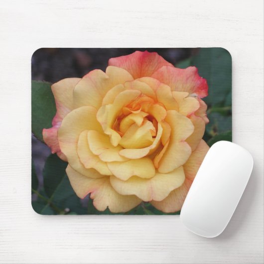 Peace-Roos: prachtige roze en gele bloemen Muismat (Met muis)