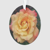 Peace-Roos: prachtige roze en gele bloemen Ornament (voorkant)