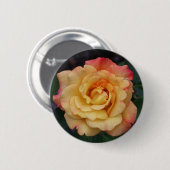 Peace-Roos: prachtige roze en gele bloemen Ronde Button 5,7 Cm (Voorkant /achterkant)