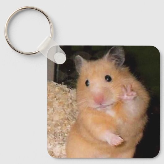 Peace + Scared Hamster Meme Double Sided Sleutelha Sleutelhanger (Voorkant)