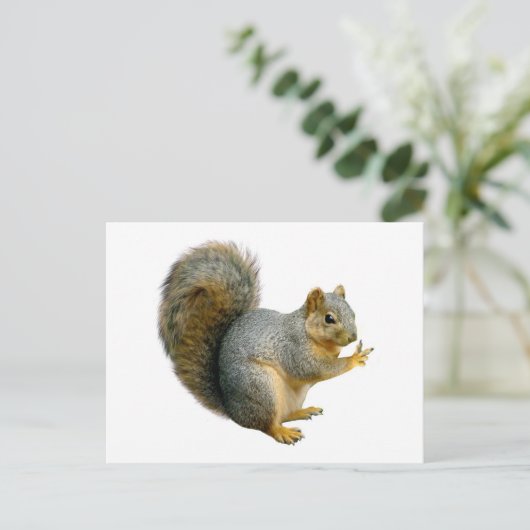 Peace Squirrel Briefkaart (Staand voorkant)