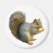 Peace Squirrel Magneet (Voorkant)