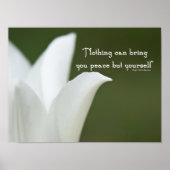 Peace Tulip Poster (Voorkant)