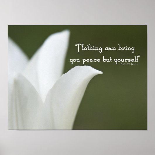 Peace Tulip Poster (Voorkant)