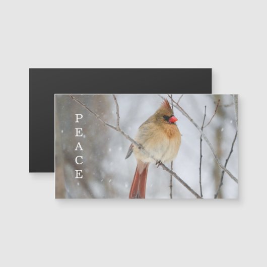 Peace Winter Cardinal Photo Magnet Card (Voorkant / Achterkant)