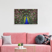 Peacecock Canvas Afdruk (Insitu (Woonkamer))