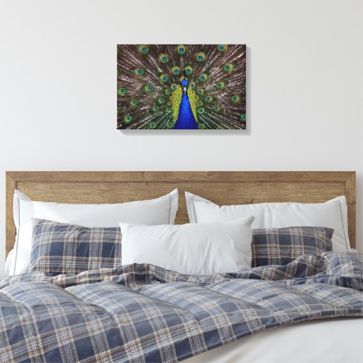 Peacecock Canvas Afdruk (Insitu (Slaapkamer))