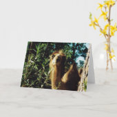 Peaceful Baba Kaart (Gele Bloem)