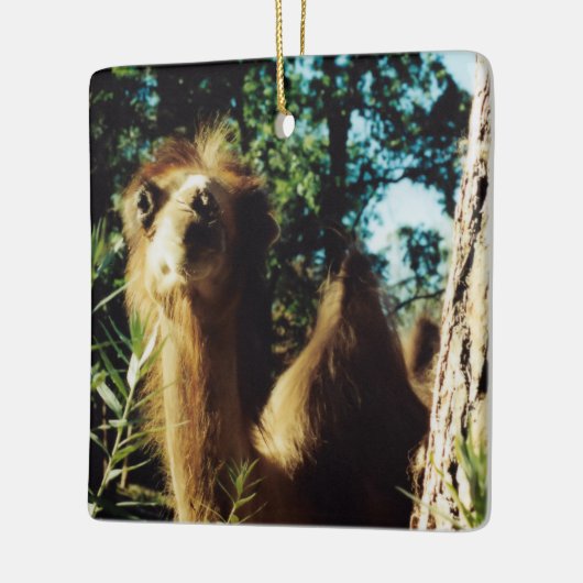 Peaceful Baba Keramisch Ornament (Links)