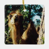 Peaceful Baba Keramisch Ornament (Voorkant)