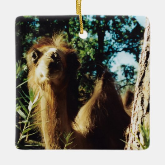 Peaceful Baba Keramisch Ornament (Voorkant)