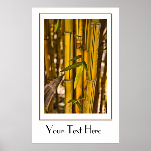 Peaceful Bamboo Oerwoud Poster (Voorkant)