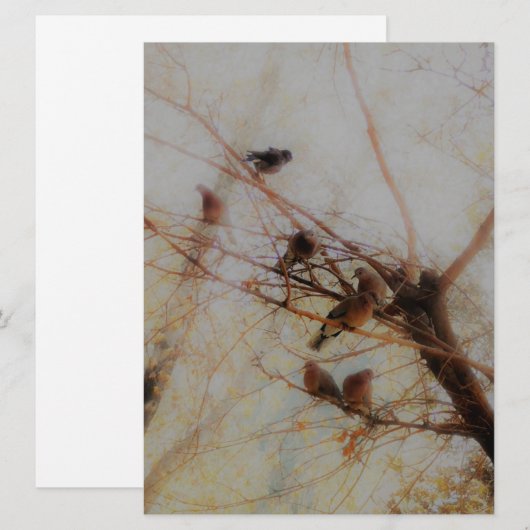 Peaceful Birds Flat Card (Voorkant / Achterkant)