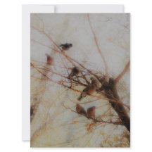 Peaceful Birds Flat Card