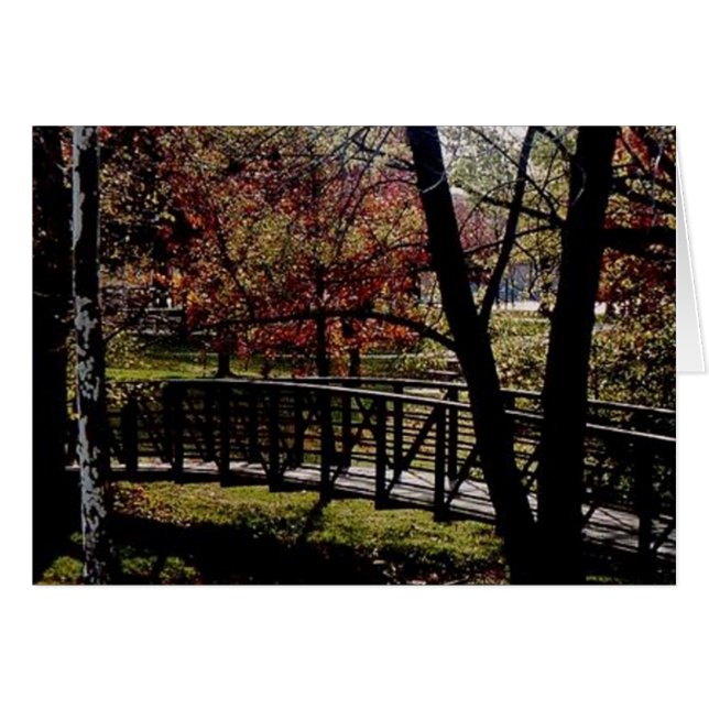 Peaceful bridge (Voorkant Horizontaal)