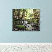 Peaceful Brook in de Bossen Canvas Afdruk (Insitu (Houten vloer))