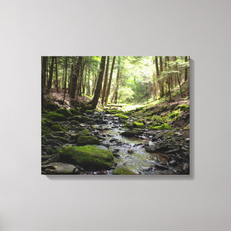 Peaceful Brook in de Bossen Canvas Afdruk