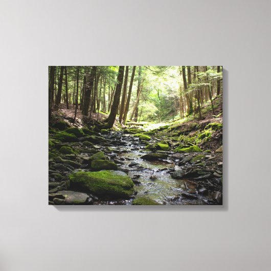 Peaceful Brook in de Bossen Canvas Afdruk (Voorkant)