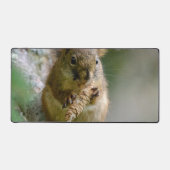 Peaceful Brown Squirrel in the Wild Bureaumat (Voorkant)