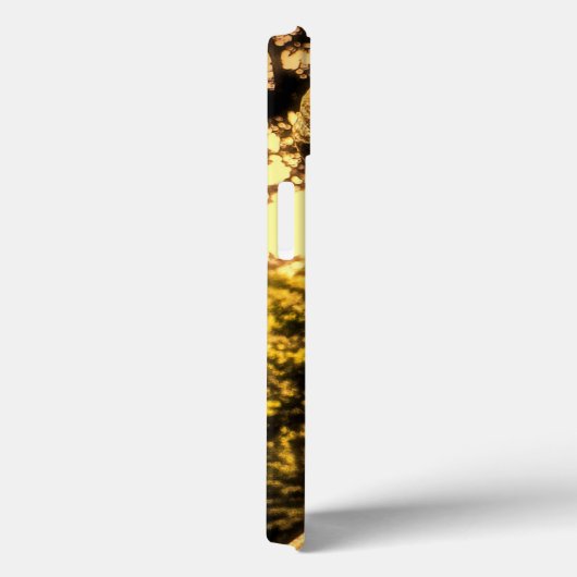 Peaceful Buddha Case-Mate iPhone Case (Achterkant / Rechts)