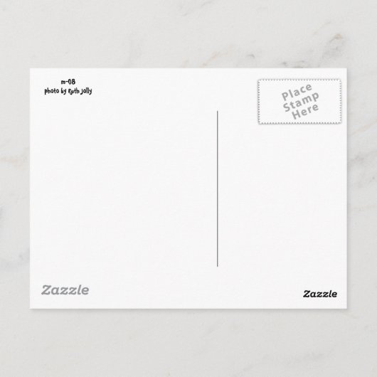 Peaceful Cabo Sunset Briefkaart (Achterkant)